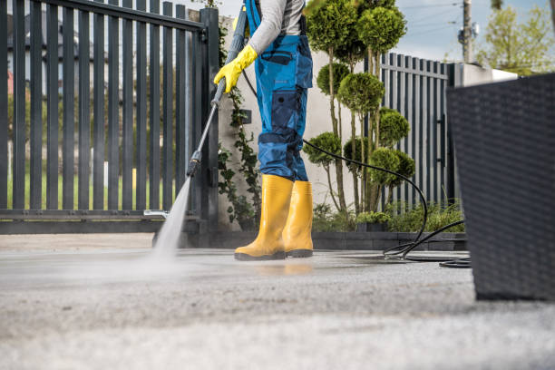 Best Solar Panel Cleaning  in Breckenridge, MN